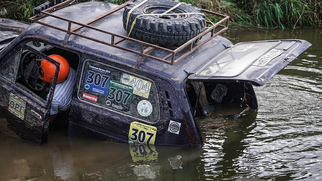 赏金船长官网登录入口